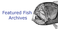 Featured Fish Archives