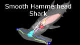 hammerhead thumbnail