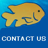 contact button