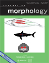 Journal of Morphology cover